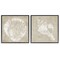Stupell Industries Rustic Abstract Seashells 2pc Framed Giclee Wall Art Set Design by Carol Robinson